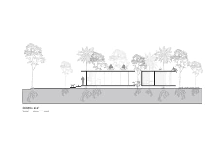 A Forest in the House